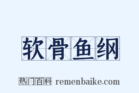 软骨鱼纲是什么意思的图片